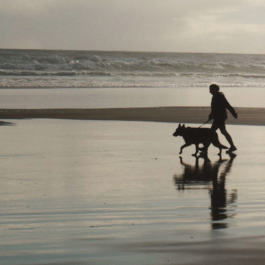 Person walks dog along the beach