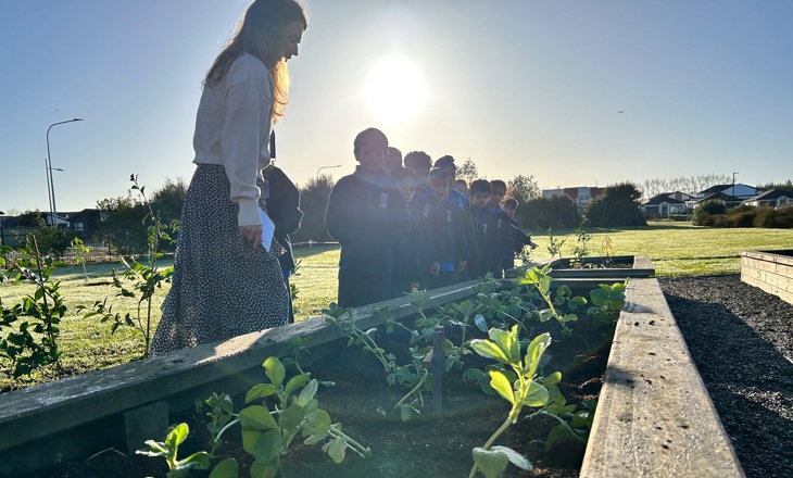 Children looking at a garden with their teacher