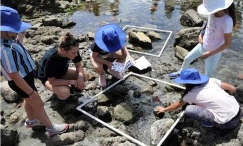 A woman and 4 children looking at rocks next to a creek