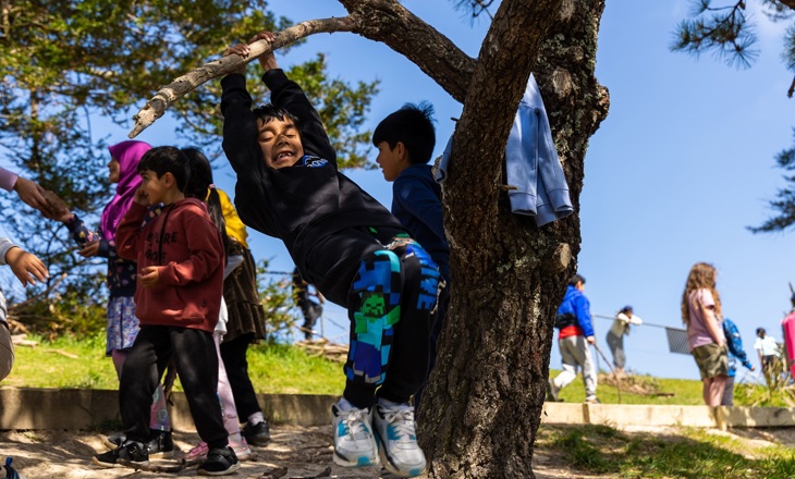 Tamariki swinging from a tree from Marshall Laing Primary